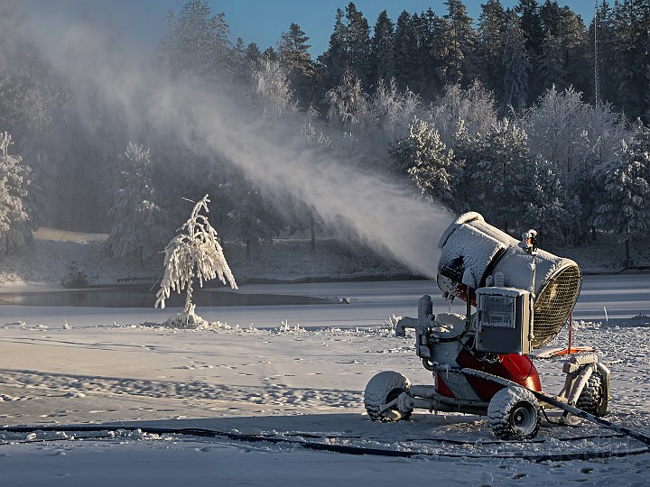 Lassalyckan vinter.jpg